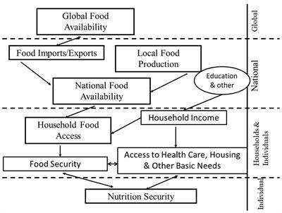 Food and nutrition security definitions, constructs, frameworks, measurements, and applications: global lessons